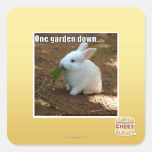 Sticker Carré Un jardin Down�