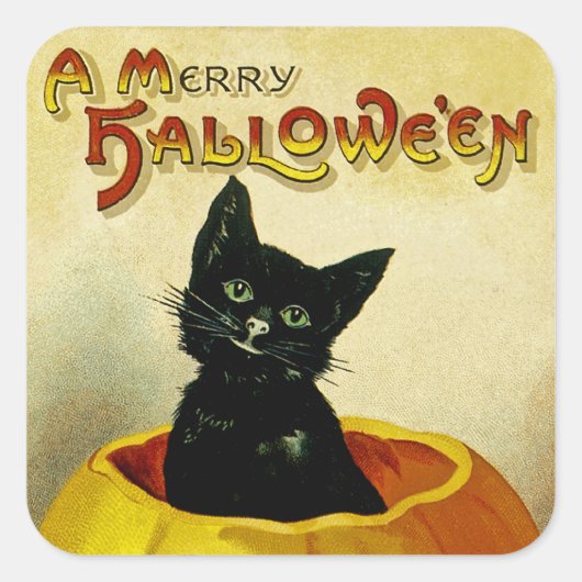 Sticker Carré Un joyeux Kitten Halloween (Devant)