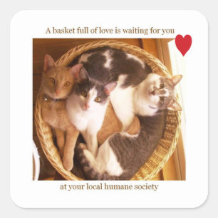 Sticker Carré Un panier plein d'amour vous attend #2...