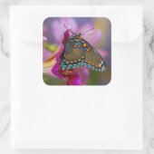 Sticker Carré Un papillon swallowtail (Sac)