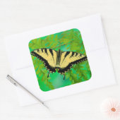Sticker Carré Un papillon swallowtail atterrissant (Enveloppe)