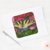Sticker Carré Un papillon swallowtail tigré (Enveloppe)