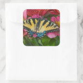 Sticker Carré Un papillon swallowtail tigré (Sac)