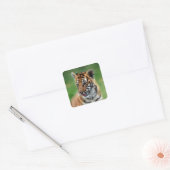 Sticker Carré Un petit tigre mignon (Enveloppe)