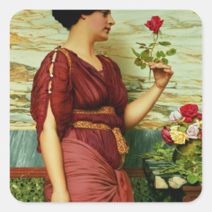 Sticker Carré Un rose rouge et rouge