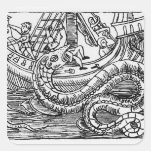 Sticker Carré Un Serpent De Mer