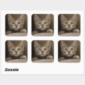 Sticker Carré Un Tabby Kitten Très Sucré (Feuille)