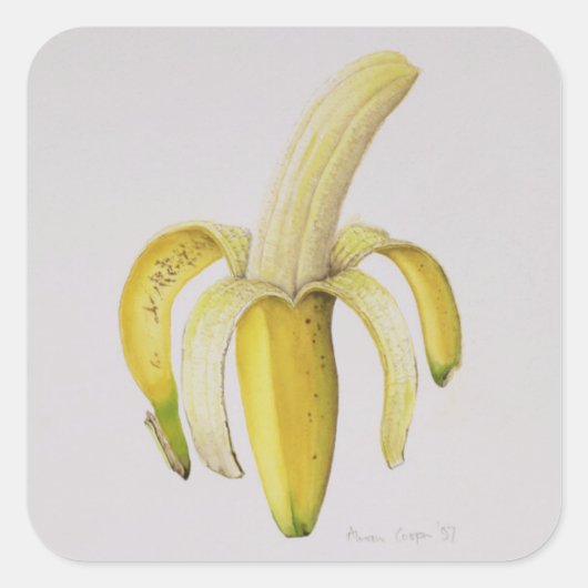 Sticker Carré Une banane à moitié pelée 1997 (Devant)