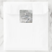 Sticker Carré Une couverture de glace relativement rare (Sac)