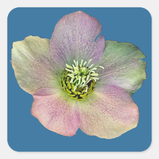 Sticker Carré Une fleur