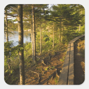 Sticker Carré Une passerelle en bois dans le parc national d'Aca