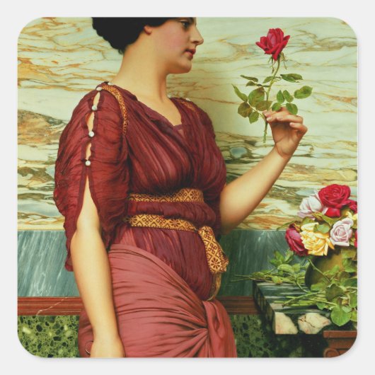 Sticker Carré Une rose rouge (Devant)