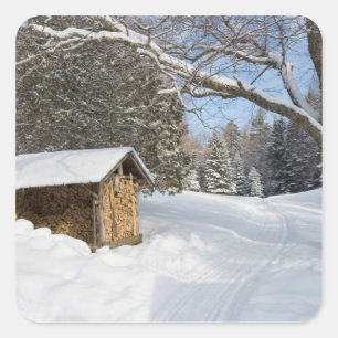 Sticker Carré Une scène enneigée au Little Lyford Pond de l'AMC