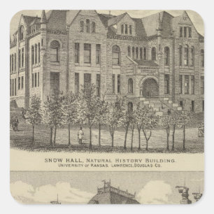 Sticker Carré Université du Kansas