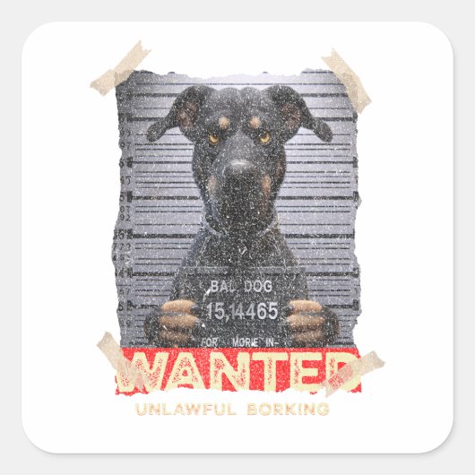Sticker Carré Unlawful Barking: The Doberman's Stern Warning (Devant)