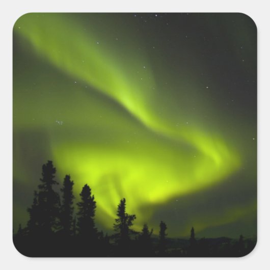 Sticker Carré USA, Alaska, Chena Hot Springs. Aurora Borealis 2 (Devant)