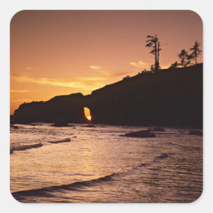 Sticker Carré USA, Etat de Washington, Parc National Olympique. 