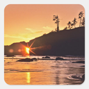 Sticker Carré USA, Etat de Washington, Parc National Olympique.