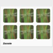 Sticker Carré USA, Géorgie. Dragonfly vert sur roseaux (Feuille)