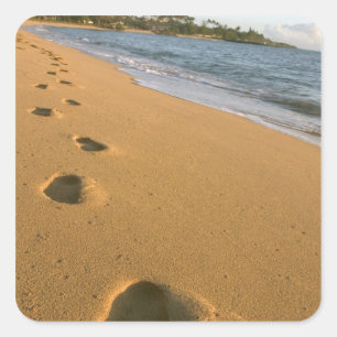 Sticker Carré USA, Hawaï, Kauai, Kapa'a, bord de mer.