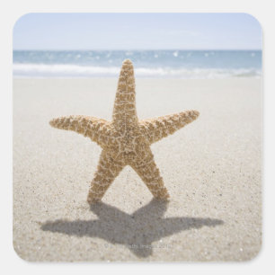 Sticker Carré USA, Massachusetts, Cape Cod, Nantucket, fermeture