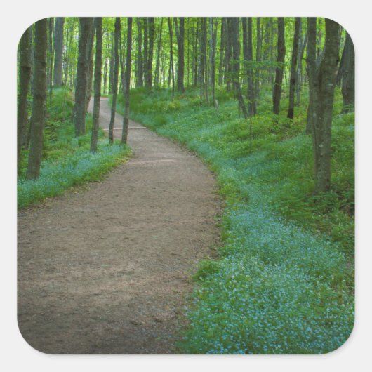 Sticker Carré USA, Michigan. Chemin de Miner's Falls (Devant)