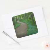 Sticker Carré USA, Michigan. Chemin de Miner's Falls (Enveloppe)