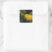 Sticker Carré USA, Texas, Prickly Pear Cactus en fleurs. (Sac)