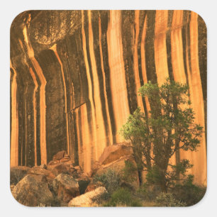 Sticker Carré USA, Utah, Parc national du Capitol Reef