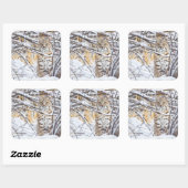 Sticker Carré USA, Wyoming, Bobcat (Feuille)