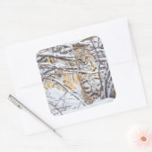 Sticker Carré USA, Wyoming, Bobcat (Enveloppe)