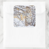 Sticker Carré USA, Wyoming, Bobcat (Sac)