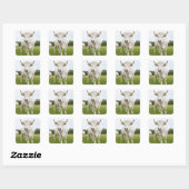 Sticker Carré Vache debout dans un champ herbeux (Feuille)