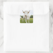 Sticker Carré Vache debout dans un champ herbeux (Sac)