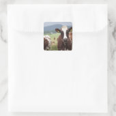 Sticker Carré Vaches pâturantes (Sac)