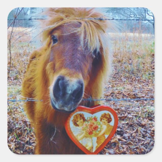 Sticker Carré Valentine Heart Horse (Devant)