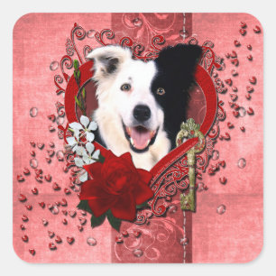 Sticker Carré Valentines - clé à mon coeur - border collie