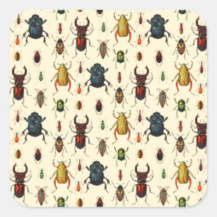 Sticker Carré Variétés de scarabée