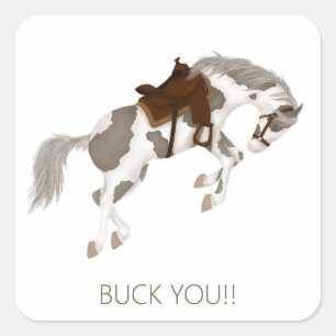Sticker Carré Vas-y Cheval! Drôle de cheval Pinto
