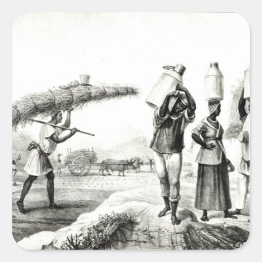 Sticker Carré Vendeurs de lait et de capim (Devant)