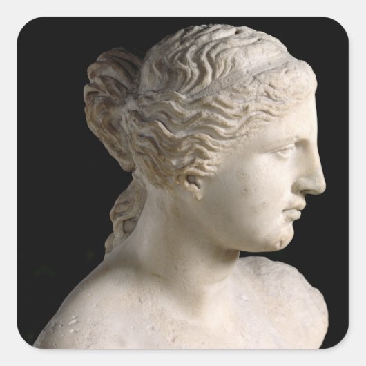 Sticker Carré Venus de Milo (Devant)