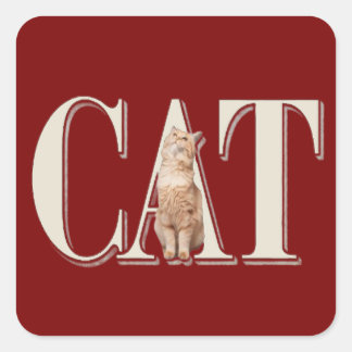 Sticker Carré Véritable amour de chats