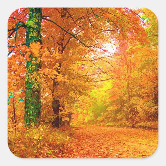 Sticker Carré Vermont Autumn Nature Paysage (Devant)
