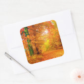 Sticker Carré Vermont Autumn Nature Paysage (Enveloppe)