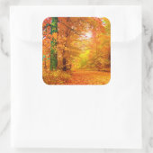 Sticker Carré Vermont Autumn Nature Paysage (Sac)