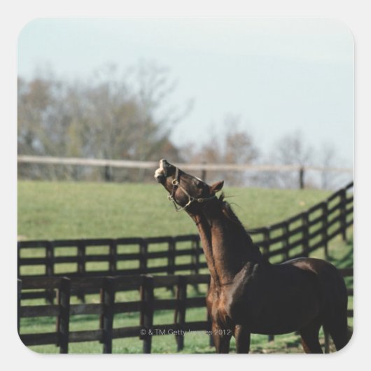 Sticker Carré Vermont, États-Unis 2 (Devant)