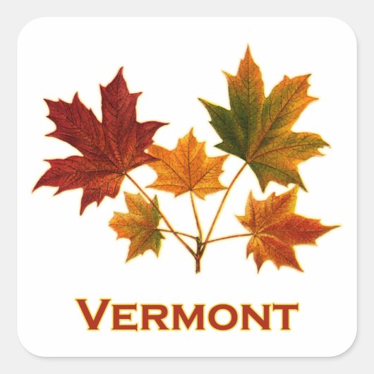 Sticker Carré Vermont Foliage (Devant)
