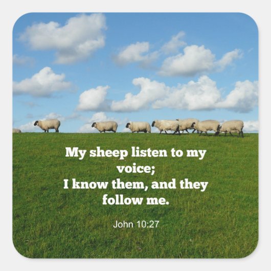 Sticker Carré verset biblique, Jean 10:27 (Devant)