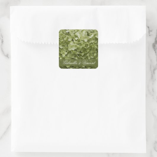Sticker Carré Vert Annabelle Hydrangea Mariage Floral (Sac)