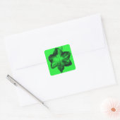 Sticker Carré Vert foncé sur vert clair Amaryllis (Enveloppe)